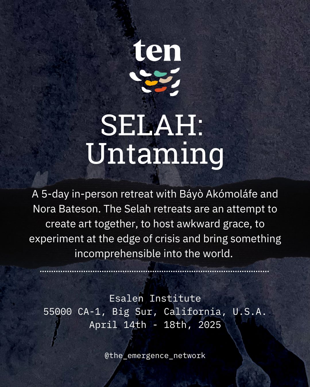 SELAH: Untaming